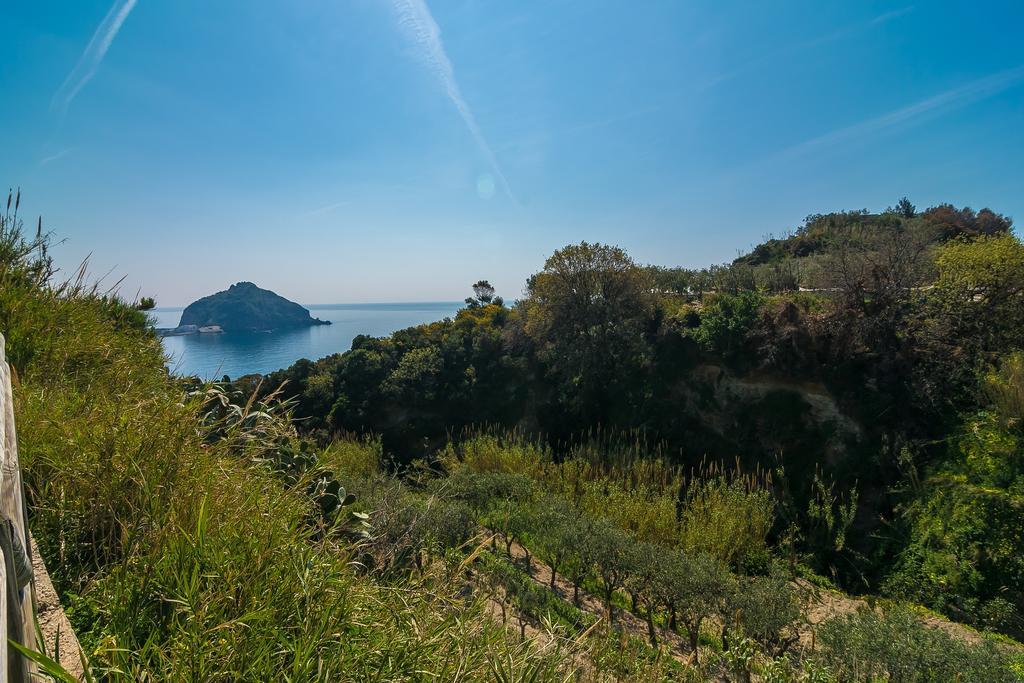 Hotel Villa Fumerie Forio di Ischia Zewnętrze zdjęcie
